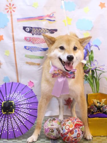 20240515シュウくん